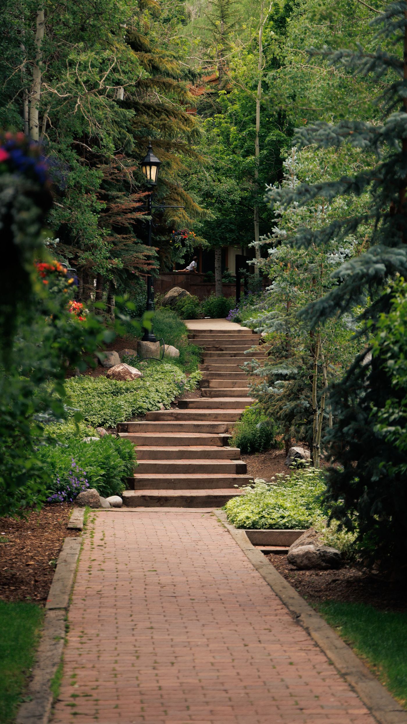 Brick paver pathway through a planted garden