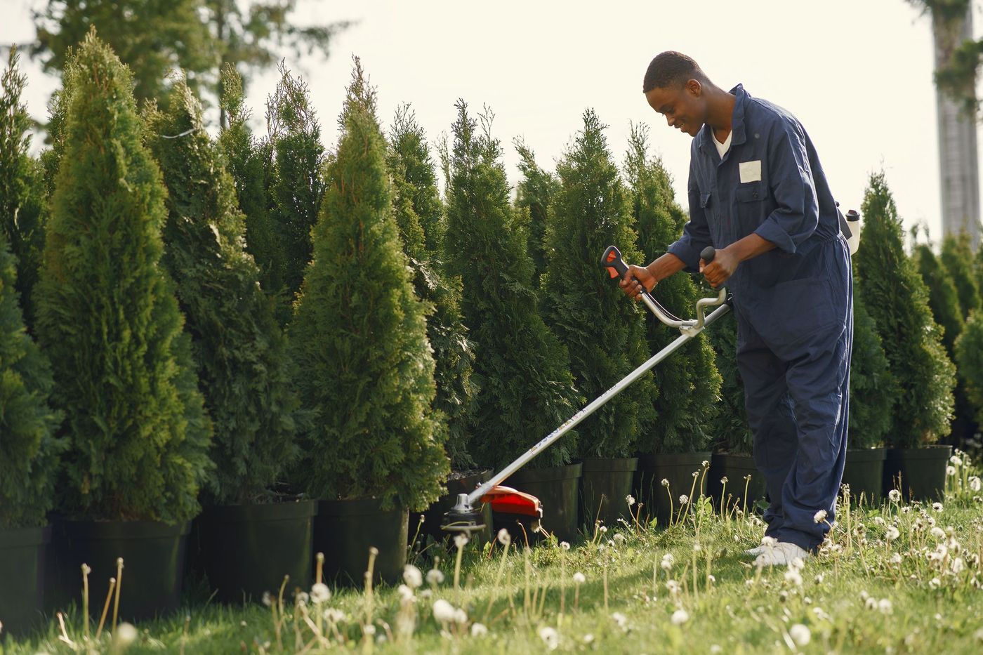 Landscaper trimming grass with a string trimmer in a sunny yard